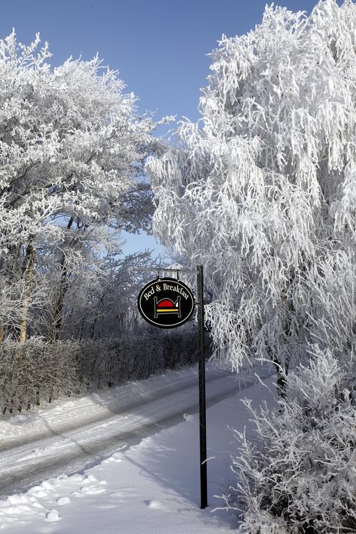 Cafehaven Bed & Breakfast Borglum Luaran gambar